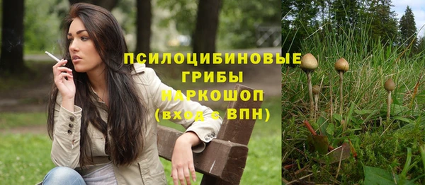 apvp Балахна