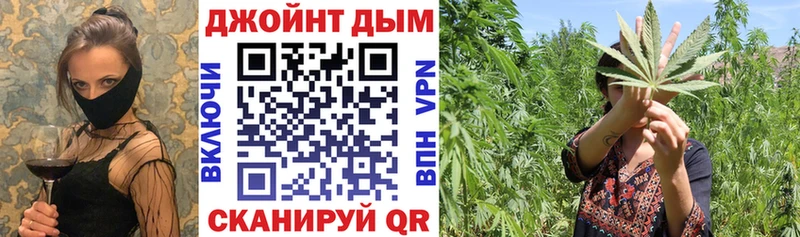МАРИХУАНА планчик  Сокол 